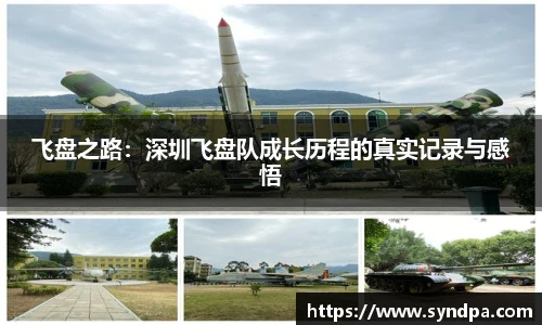 飞盘之路：深圳飞盘队成长历程的真实记录与感悟